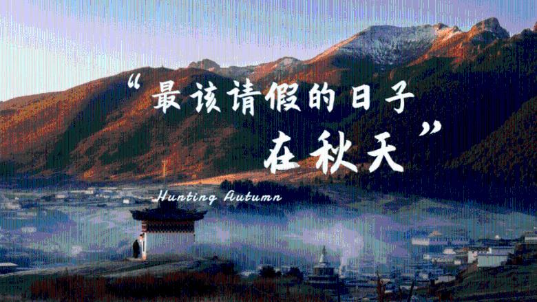 高级定制
